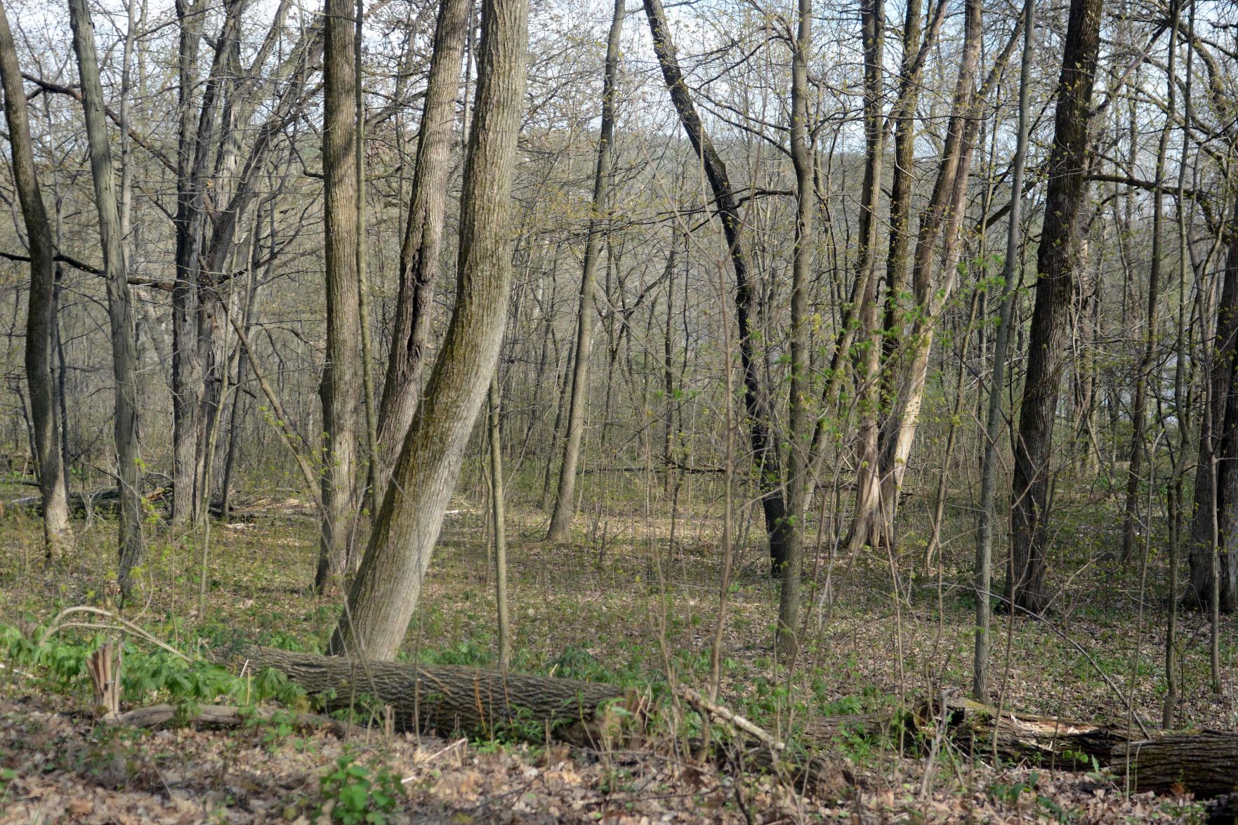 Devil's Lake open May 2